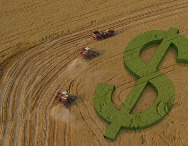crédito rural, preços, pib, commodities, crescimento no PIB, dinheiro, desenvolvimento, mercado brasileiro, plano safra, crédito rural, PIB do agronegócio, plano safra, moderfrota, fiagro
