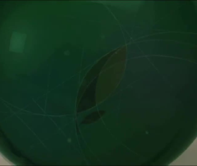 Aula 5: Inseminação Artificial